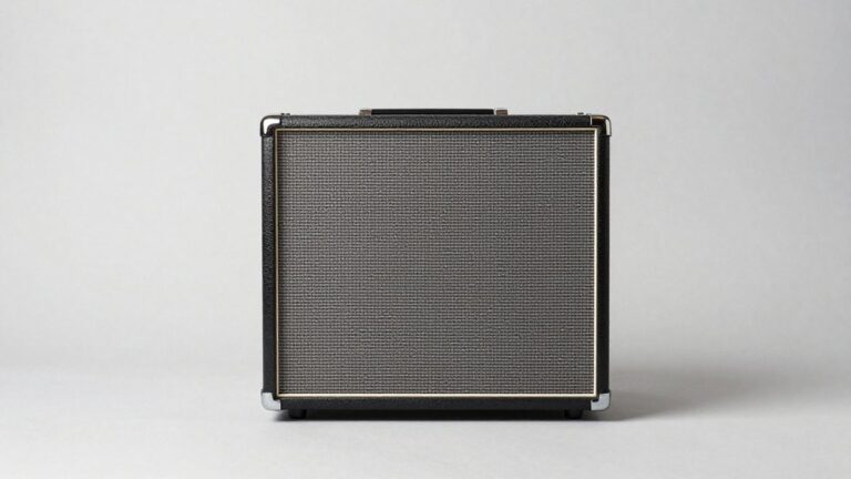 Best Bass Amp Heads for Gigging